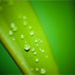 アセチルサリチル酸の副作用を解説!配合されてる市販薬は?