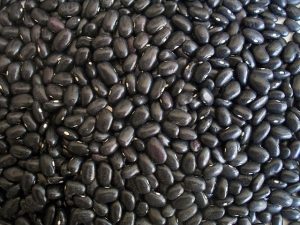 black-beans-14522_640